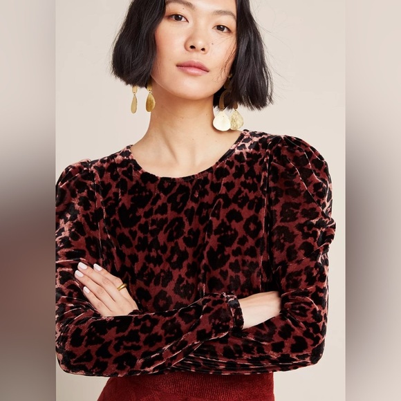 Dolan Left Coast Collection Anthropologie Charley Velvet Leopard Top Size XL - Picture 2 of 6